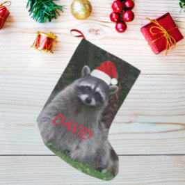 Raccoon Wearing Red Santa Hat med Namn Liten Julstrumpa