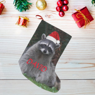 Raccoon Wearing Red Santa Hat med Namn Liten Julstrumpa
