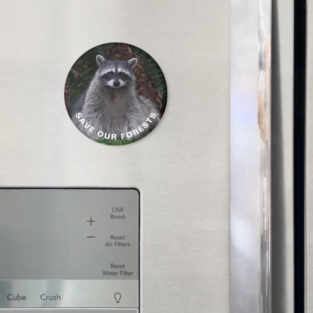 Raccoon Wildlife Foto Forest Conservation Magnet (In Situ (Fridge))
