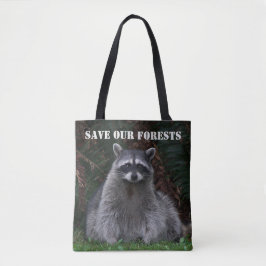 Raccoon Wildlife Foto Forest Conservation Tygkasse