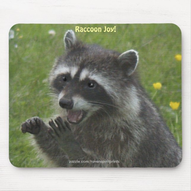 RACCOON WILDLIFE Happiness Mousepads Musmatta (Framsidan)