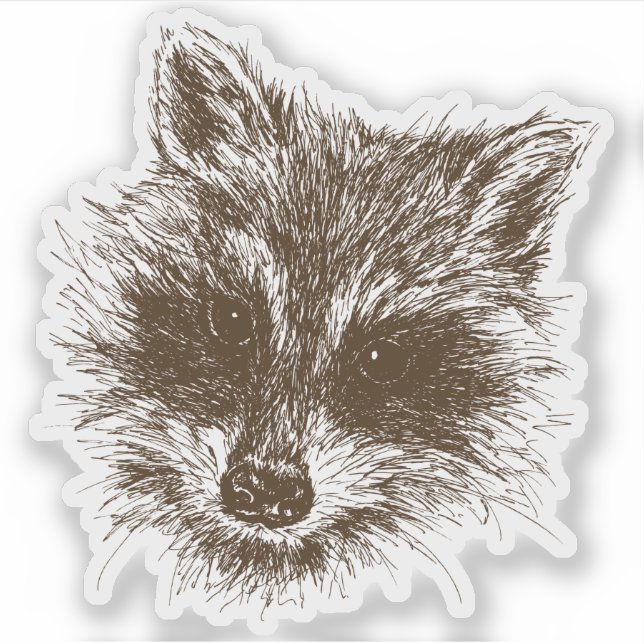 Raccoon Woodland Creature Teckning Klistermärken (Framsida)