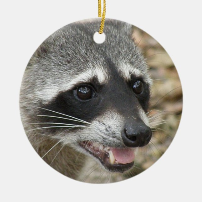 Raccoonansikteprydnad Julgransprydnad Keramik (Framsidan)