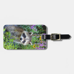 Raccoonbagagemärkre Bagagebricka