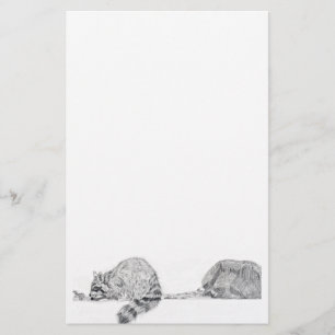 Raccoonbrevpapper Brevpapper