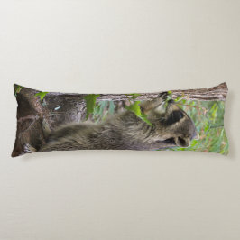 Raccoonen förkroppsligar kudden kroppskudde