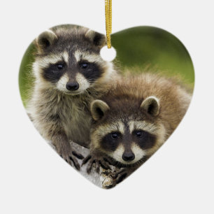 Raccoonen kopplar ihop julgransprydnad keramik