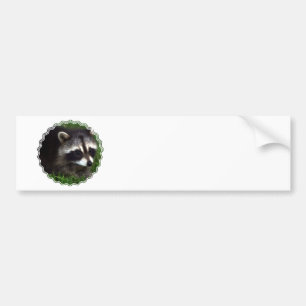 Raccoonen maskerar bildekalet bildekal