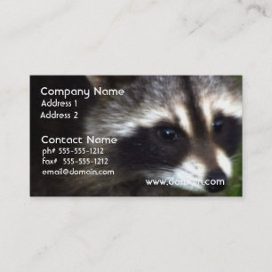 Raccoonen maskerar visitkortar visitkort