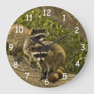 Raccoonfamilj Stor Klocka
