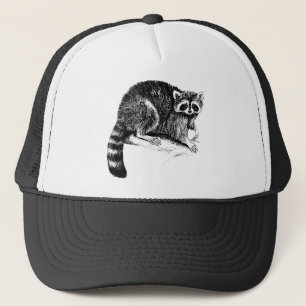 Raccoonillustration Keps