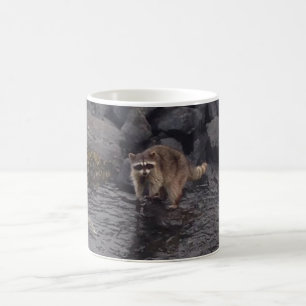 Raccoonkaffe Magisk Mugg