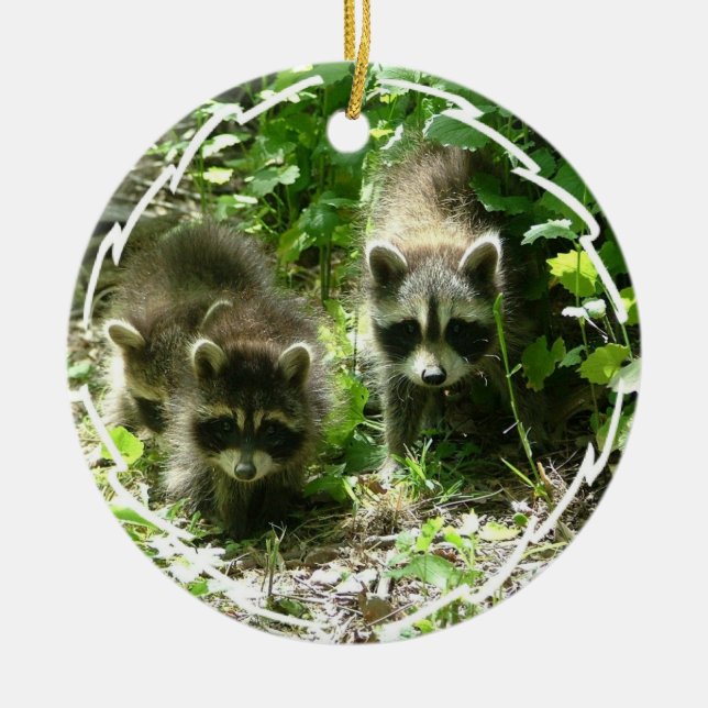 Raccoonlivsmiljöprydnad Julgransprydnad Keramik (Framsidan)
