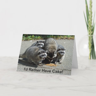 Raccoonmamma & barn en kort