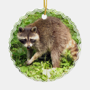 Raccoonprydnad Julgransprydnad Keramik