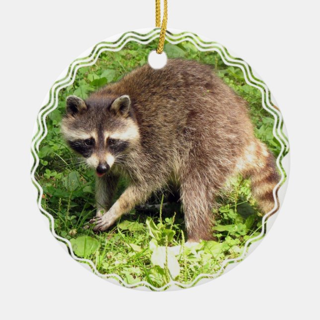 Raccoonprydnad Julgransprydnad Keramik (Framsidan)
