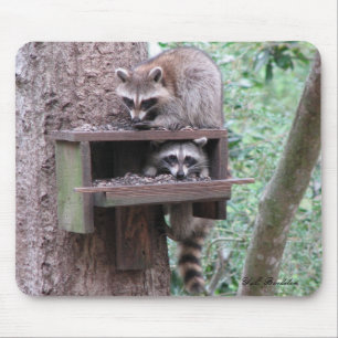 RaccoonRascals Mousepad Musmatta