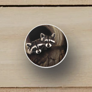 Raccoons Brown Cute Träd Knopp