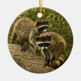 Raccoons! Julgransprydnad Keramik