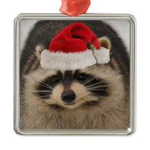 Raccoonsanta prydnad