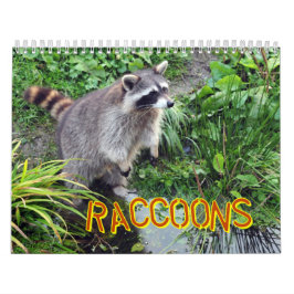 Raccoonskalender Kalender