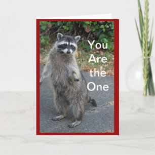 Raccoonvalentinkort Helgkort