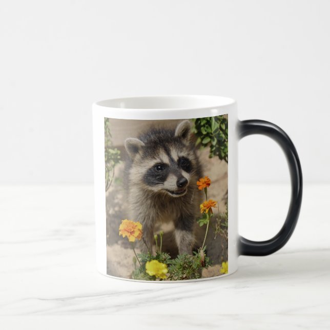 Raccooon - Morphing mugg (Höger)