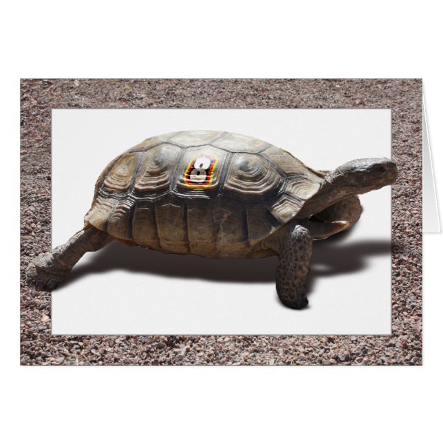 Racer Hälsningskort (Framsidan Horizontal)