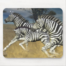 Racing Stripes - Zebra Musmatta