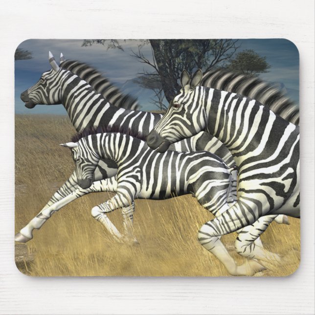 Racing Stripes - Zebra Musmatta (Framsidan)
