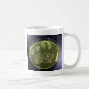 Räcka Petri maträttbakterier Kaffemugg