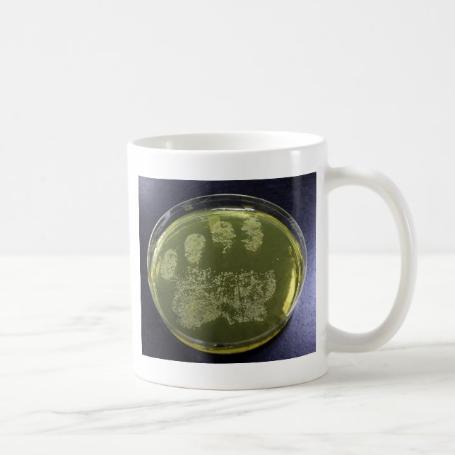 Räcka Petri maträttbakterier Kaffemugg (Höger)