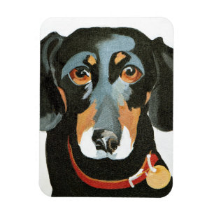 Rackare 2012 magnet