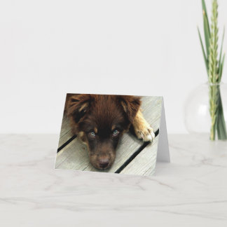 Rackare Notecard Kort