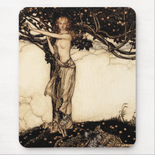 Rackham CC0018 Musmatta