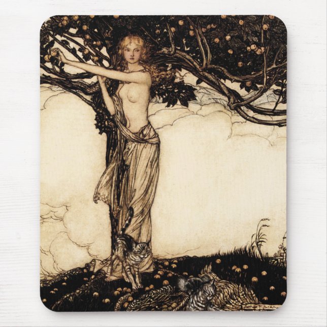 Rackham CC0018 Musmatta (Framsidan)