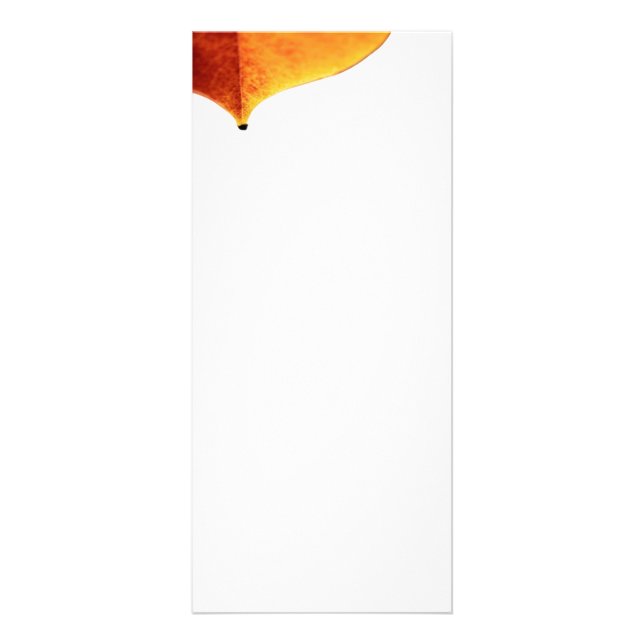 Rackkort för Lämna av orange Reklamkort (Framsidan)