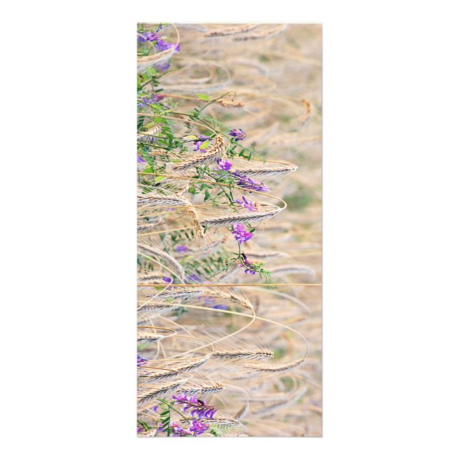 Rackkort för växlingsgrad reklamkort (Framsidan)