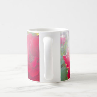 Räckvidd för solen (5) kaffemugg