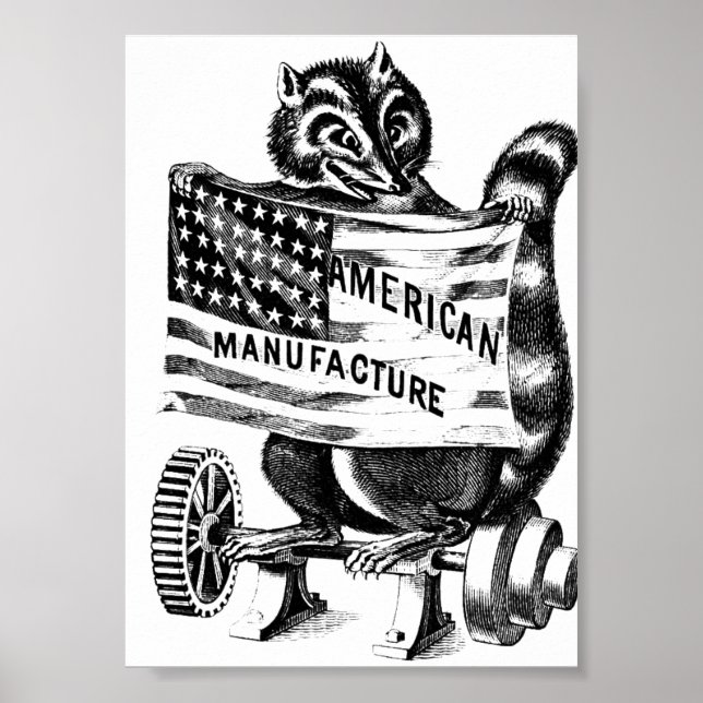 Racoon Americana Politics Illustration Poster (Framsidan)