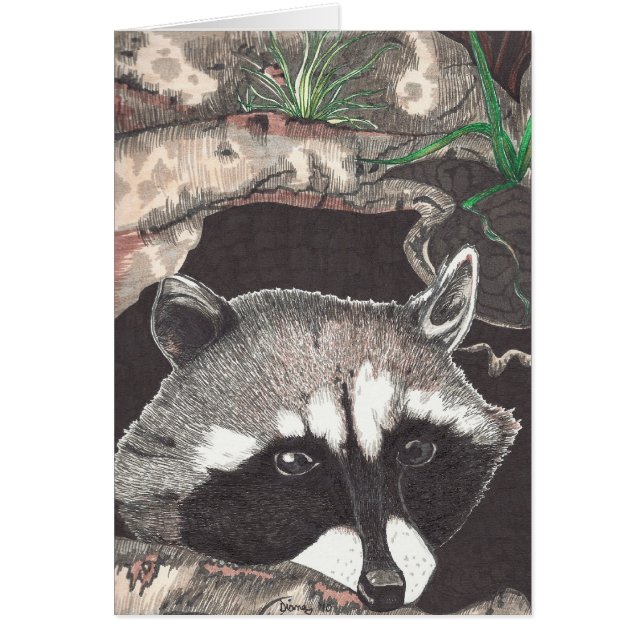 Racoon Hälsningskort (Framsidan)