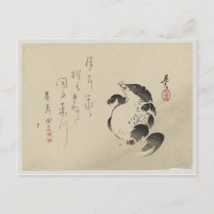 Racoon-hund (Tanuki) av Shibata Zeshin Vykort