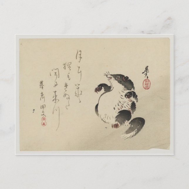 Racoon-hund (Tanuki) av Shibata Zeshin Vykort (Framsida)