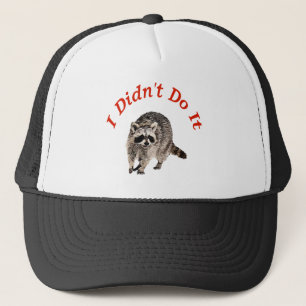 Racoon Keps