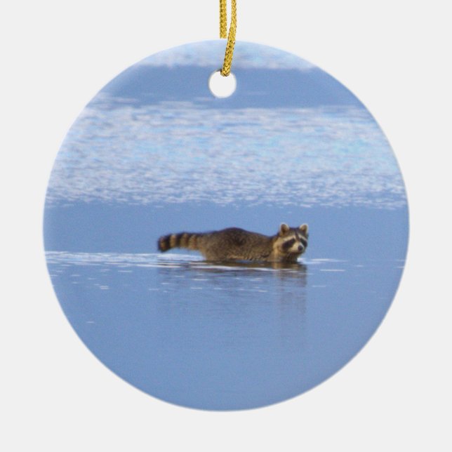 Racoon Swimming Photo Ornament  (Framsidan)