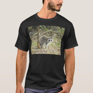 Racoon Tröja