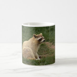 Racoonmugg Kaffemugg