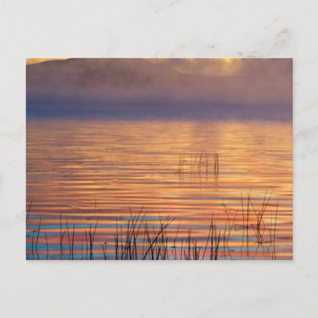Racquette Lake | Adirondack Mountains, New York Vykort (Framsida)