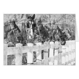 Rad Amish Horses Black and white Hälsningskort