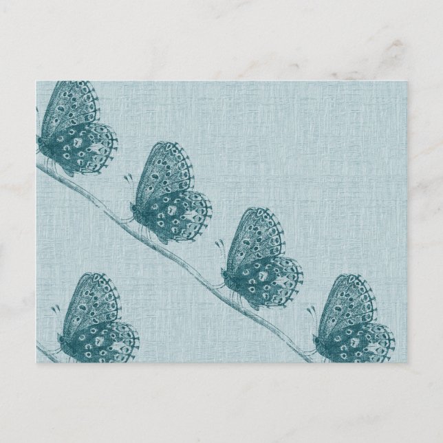 Rad av Butterflies Vykort (Framsida)